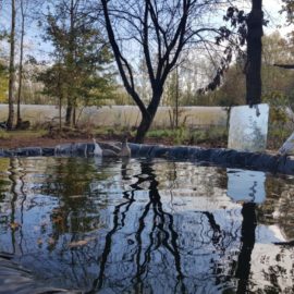 Notre campagne de financement participatif sur Bluebees !