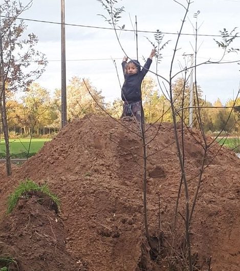 Tous confinés au Marais de Mira !