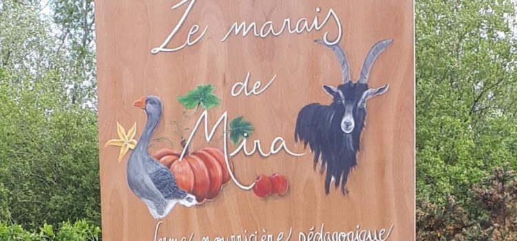 C&rsquo;est tout vert !