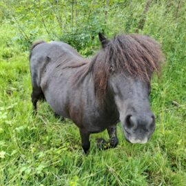 C&rsquo;est la dernière séance, et le 17 juin, le rideau va tomber !