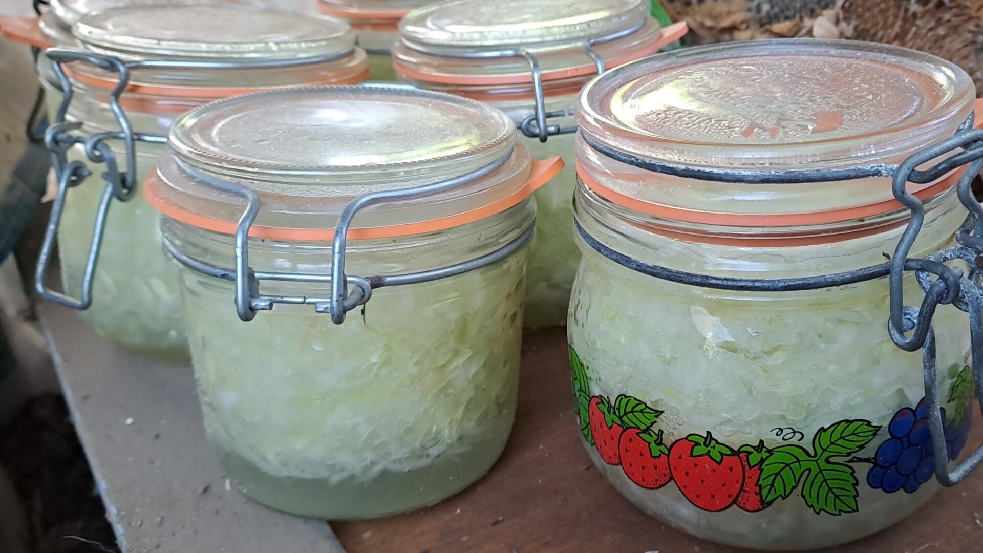 NOUVEAU : STAGES AUTONOMIE ET RÉSILIENCE 