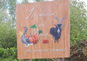 Panneau maraisdemira