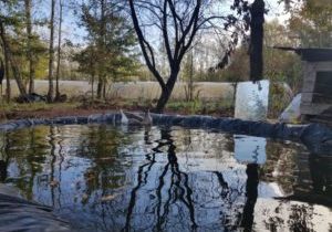 article campagne bluebees